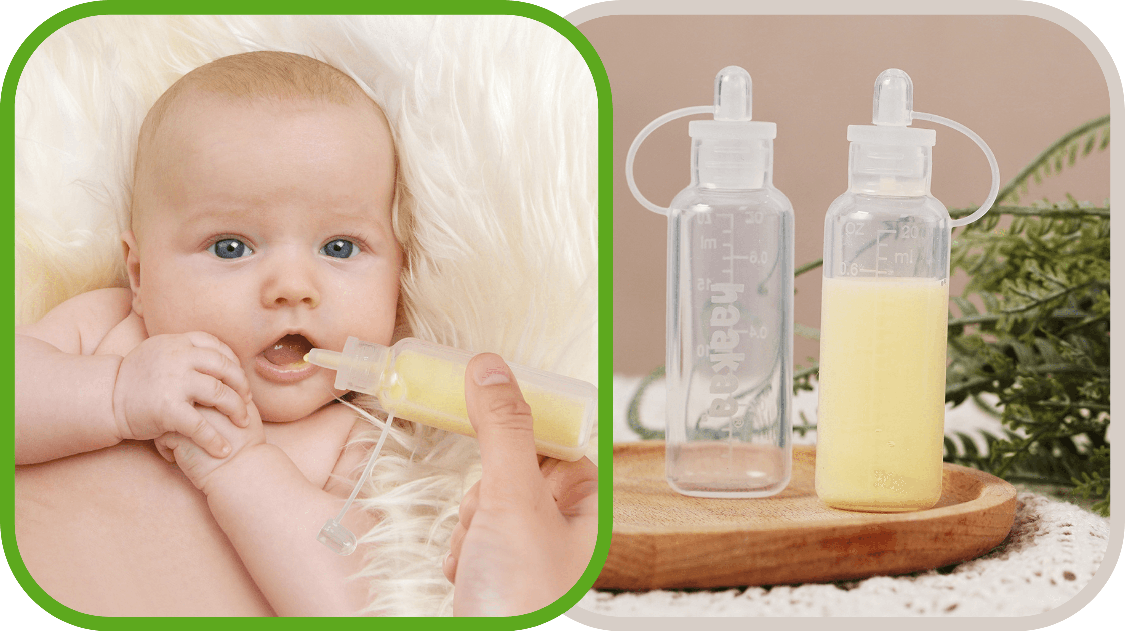 Alles wat je moet weten over Colostrum 1 Colostrum blog