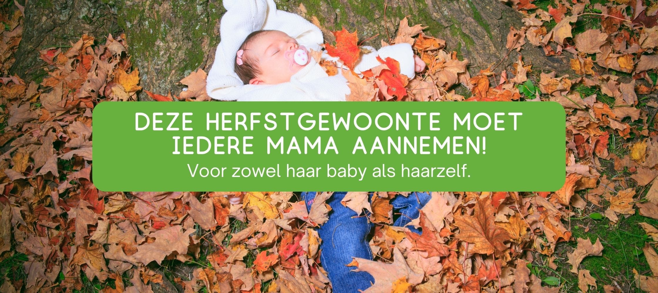 Haakaanl webbanners 6